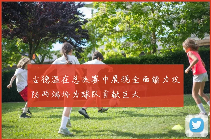 古德温在总决赛中展现全面能力攻防两端均为球队贡献巨大