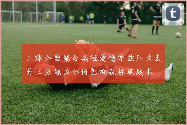 三球加盟能否减轻爱德华兹压力麦丹三分能力如何影响森林狼战术